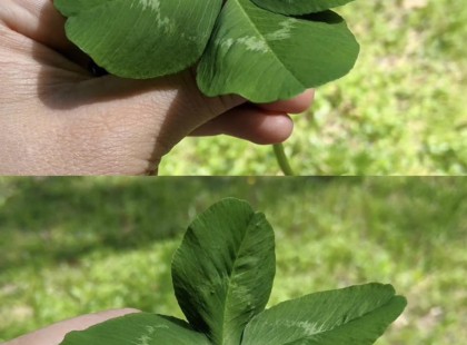 Vasárnapi horoszkóp: csillagjegynek EXTRA mázlija lesz a mai naptól ?