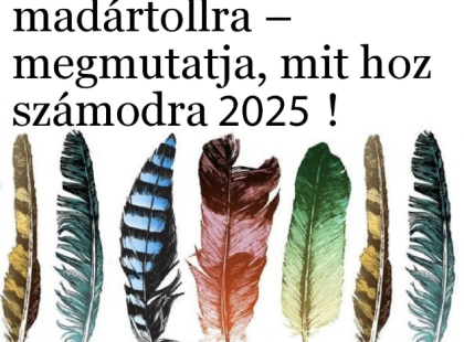 Bökj a legszebb madártollra – megmutatja, mit hoz számodra 2025!