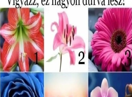 Válassz egy gyönyörű virágot, és tudd meg, mit üzen neked a lelked 2025-re!