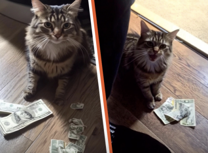 Idős Marika néni minden nap pénzt talál a padlón, meglátja, hogy Círmos hozza, és követni kezdi