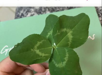 Gigászi mennyiségű szerencsét kap 4 csillagjegy vasárnaptól !