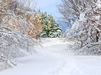 Ilyen idő lesz szenteste és szilveszterkor!A szakemberek is elcsodálkoztak!