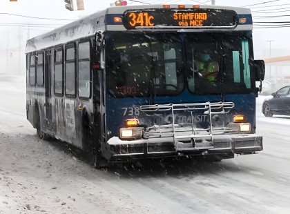 Buszsofőr kiveti az idős hölgyet a fagyba – később meglátja a képeit menyasszonya házában„Szállj le!” – kiáltotta Gyuri türelmetlenül az idős asszonyra, aki kétségbeesetten kutatott a táskájában az apróért. A buszvezető már késésben volt, és úgy érezte, nincs ideje a történeteire.Az idős nő, Rózsika néni könnyes szemekkel próbált magyarázkodni:– Kérem, fiam, elvesztettem a pénztárcámat, nincs más mód hazajutni...De Gyuri hajthatatlan maradt.– Nem érdekel! Fizet, vagy gyalogolhat haza! – kiáltotta, miközben a hóesésben kitette a nőt a megállónál.Gyuri úgy gondolta, soha többé nem fog találkozni vele, és ezzel lezártnak tekintette az ügyet. De amikor később belépett menyasszonya, Angéla házába, és meglátta az idős asszony fényképét a nappaliban, azonnal rádöbbent, hogy a sors kegyetlen játékot játszott vele.A történet fordulatainál csak egy valami döbbenetesebb: a tanulság, amely örökre megváltoztatta Gyuri életét.???⬇️A teljes történet a kommentek között található.