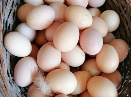 Hihetetlen, hogy mennyibe kerül ma egy tanyasi tojás – Drágább, mint egy kilogramm alma!