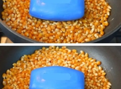 Hogyan készíts házi csapdát kukoricából a csótányok ellen?: Így szabadulj meg tőlük az otthonodban?