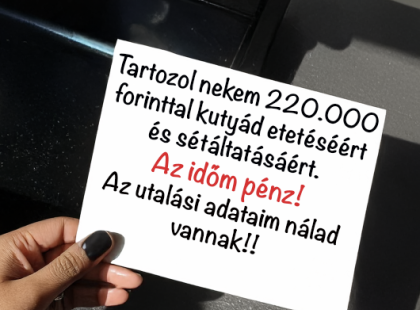 Az anyósom 220 ezer forintot követelt a kutyánk sétáltatásáért, miközben vajúdtam – Beleegyeztem, de csak egy feltétellel!
Pár nappal a szülés előtt megkértem a férjemet, Jakabot, hogy szervezze meg, ki fog gondoskodni a kutyánkról, Richiről, amíg a kórházban leszünk. Jakab lazán azt válaszolta, hogy az anyja, Abigél elintézi.
A vajúdás nehéz volt, de amikor végre a karomban tarthattam a kisfiunkat, minden fájdalom semmissé vált. Három nap után boldogan értünk haza, kimerülten, de euforikusan. A konyhaasztalon egy összehajtott papírt találtam. Azt hittem, kedves üdvözlő üzenet lesz az anyósomtól, amelyben örömének ad hangot, hogy megszületett az unokája.
De nem. A cetlin ez állt: „220 ezer forinttal tartoztok nekem Richi etetéséért és sétáltatásáért. Az időm pénz. Itt vannak az utalási adataim.”
Először azt hittem, ez csak valami rossz vicc. De nem, Abigél teljesen komolyan gondolta.
Egy héttel később meglátogatott minket, hogy találkozzon az unokájával, de az első mondata nem a gratuláció volt. „Mikor utalod át a pénzemet, Dorina? Eleget vártam már.”
Ránéztem, és édes mosollyal válaszoltam: „Természetesen, Abigél. Kifizetlek – DE CSAK EGY FELTÉTELLEL.” ⬇️⬇️? ⬇️ A teljes történet megható fordulatokat tartogat, amit az olvasók a kommentekben találhatnak meg!
