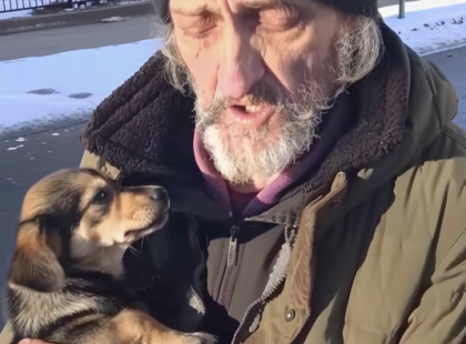 Egy hajléktalan férfi arra kért, hogy vigyem el a kutyáját – Egy hónappal később egy titokzatos levelet kaptam, ami mindent megváltoztatott
Egy hideg délutánon épp a kisfiammal, Marcival pakoltunk az autóba a bevásárlás után. Nehéz év állt mögöttünk: a férjem, Zoltán tragikus hirtelenséggel hunyt el, és a gyász, az egyedüli szülői lét és a kimerültség teljesen elborított.
A parkoló szélén észrevettem egy férfit. Egy kopott takaróba burkolózott, az arca kipirosodott a hidegtől, mellette pedig egy kicsi, bozontos kutya reszketett. Amikor el akartunk indulni, a férfi felállt, és odajött hozzánk.
– Asszonyom – szólított meg rekedten –, ne haragudjon, hogy zavarom, de… elvinné a kutyámat?
A szavai döbbenettel töltöttek el. Szégyenkezve lehajtotta a fejét, majd folytatta:
– Daisy a neve. Ő az én mindenem, de… már nem tudok gondoskodni róla. Fázik, és nincs elég pénzem etetni. Jobbat érdemel.
Már majdnem nemet mondtam. Úgy éreztem, nem bírok több felelősséget vállalni. De akkor Marci rám nézett a nagy, könyörgő szemeivel.
– Anya, kérlek… Szüksége van ránk – suttogta.
És így Daisy hazajött velünk. Aznap este Marci megfürdette, és a kedvenc takarójával takarta be. Hónapok óta először éreztem melegséget a házunkban.
Egy hónappal később Daisy már a családunk része lett – játékos, szeretetteljes és pontosan az, amire szükségünk volt. Aztán egy este egy furcsa borítékot találtam a postaládában. Nem volt rajta bélyeg, sem visszaküldési cím, csak annyi állt: „Egy régi barátodtól.”
Amikor kibontottam, a benne lévő levél könnyekig meghatott. De a levél nem nekem szólt… ⬇️? ⬇️ A teljes történet megható fordulatokat tartogat, amit az olvasók a kommentekben találhatnak meg!