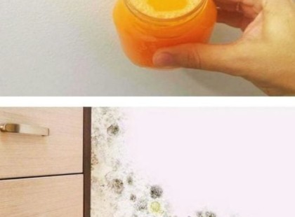 Kolléganőm árulta el a titkot!Ezt a módszert használják Koreában, hogy ne penészedjenek be a falak – Kipróbáltam, és az évek óta tartó küzdelmem végre véget ért!