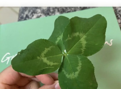 Gigászi mennyiségű szerencsét kap 4 csillagjegy csütörtöktől !