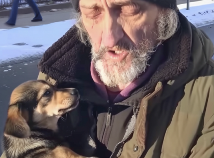 Egy hajléktalan férfi megkért, hogy vegyem magamhoz a kutyáját – egy hónappal később kaptam egy levelet, amely könnyekre fakasztott!
