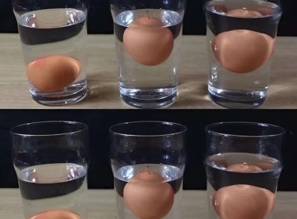 Végre itt a titok!Hogyan ellenőrizzük, hogy egy tojás jó minőségű-e?