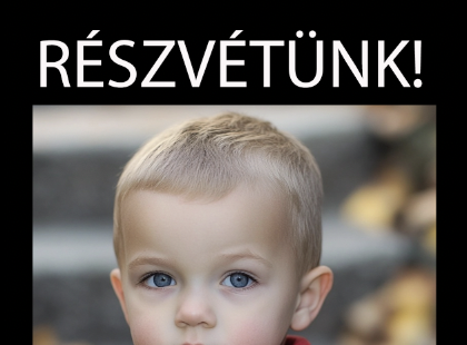 Kedves ismerőseim ,kedves mindenki .Kedd délután meghalt a kisfiam