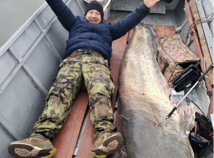 Világrekord-esélyes harcsát fogtak a Dunából??? Cikk fotókkal, videóval?