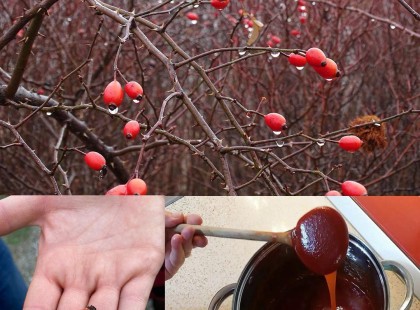 Ez a világ egyik legcsodálatosabb növénye, és valószínűleg a legfinomabb, és legegészségesebb is..10 felhasználási módja.. a 7. -et azt eddig nem sok ember ismerte szerintem ..