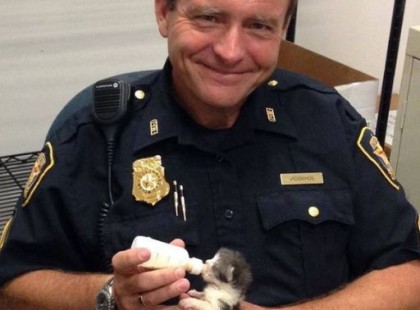 EGY RENDŐR TALÁLT EGY APRÓ CICÁT - DE AMIKOR MEGNÉZTE A BIZTONSÁGI FELVÉTELEKET, ELHALVÁNYULT A MOSOLYA.
Rendőr nem számított arra, hogy aznap reggel valami szokatlant talál. Csak egy újabb rutinműszak, egy újabb lassú nap az őrsön.
Aztán meghallotta.
Halk, kétségbeesett nyávogást hallott odakintről.
Követte a hangot az épület mögötti sikátorba - és ott, egy nyirkos kartondobozban reszketett a legkisebb cica, akit valaha látott. Alig néhány napos, a szeme alig volt nyitva, törékeny teste nehezen mozdult.
Habozás nélkül felkapta, és bevitte a házba, a kezével melegítette. Talált egy régi üveget, és ahogy megetette a kiscicát, nem tudta megállni, hogy ne mosolyogjon.
Ki tudna magára hagyni egy ilyen apróságot?
Ekkor támadt egy gondolat.
Az állomás biztonsági csapatához fordult. „Hívják elő a tegnap esti kamera felvételeket” - mondta.
Percekkel később már a képernyő előtt állt, és nézte a felvételeket.
És ahogy meglátta, ki hagyta ott a cicát...
A mosolya eltűnt.
(Folytatás az első ?-ban ⬇️