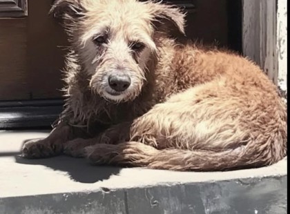 Egy ajtó, ami végre kinyílt…