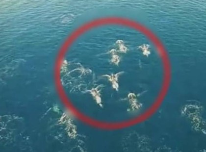 Ha nem lenne ez a videó, senki sem hinné el ? Nézd meg, mit rögzített a drón!... ŐK léteznek! ??? FOLYTATÁS a hozzászólásoknál ?⤵️⤵️⤵️