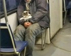 „Azt mondta, csak melegen tartotta – de valójában ennél sokkal többet tett...”
Láttam őt ülni a 4-es metró egyik kocsijában, két megállóval a végállomás előtt. A kabátja szorosan be volt húzva, kopott cipője alig érintette a padlót. Nem az álmatlanság, hanem az élet súlya nehezedett a vállára.
De nem ő keltette fel igazán a figyelmemet.
Hanem az, amit a kezében tartott.
A kabát redői között, a karja védelmében egy alig néhány hetes kiscica feküdt. Összegömbölyödve, mintha mindig is ott lett volna – egy biztonságos, meleg világban. Úgy ölelte, mintha porcelánból és emlékekből lenne. Mélyen aludt, apró tappancsai az álla alatt, olyan hangosan dorombolva, hogy a metrószerelvény zaja sem nyomta el teljesen.
A többiek? Teljes közöny. Egyik utas sem nézett oda.
Odamentem. Leültem vele szemben. Csendesen megkérdeztem:
– A tiéd?
Lenézett rá, halvány, meleg mosollyal:
– Nem, nem… Ő talált rám. Három nappal ezelőtt. Egy pékség mögötti sikátorban sírt. Elázva, reszketve. Odaadtam neki az utolsó szendvicsem, aztán becsavartam az egyetlen száraz sálamba.
Ekkor megvonta a vállát, mintha mentegetőzne:
– Azt hittem, csak egy meleg éjszakát adok neki… de nem ment el.
Megkérdeztem, most hova viszi.
– Egy jobb helyre – válaszolta. – A Határ út és Nyírfa utca sarkán, a padon van egy cetli. Egy anyuka írta. Azt írta, segítene, ha élve visszakerülne a cica.
Készíts egy emlékeztetőt?
Kissé értetlenül néztem rá. Ekkor előkotorta a kabátja zsebéből a gyűrött szalvétát. Kék tintával, görcsös kézírással ez állt rajta:
„Minka névre hallgat. Kérlek, ne hagyd magára. Ha megtalálod, vidd haza.”
A hátoldalon telefonszám. De ami igazán szíven ütött?
Az aláírás:
„A kislánya.” 💔
Olvasd tovább a történetet az első hozzászólásban! 👇👇