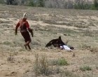 😧📹 Sokkoló felvétel mutatja, ahogy egy hatalmas aranysas megpróbál elrepülni egy 8 éves kislánnyal... 🦅🎥 Videó a hozzászólásokban 👇