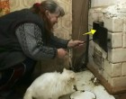 Miután megörökölt egy omladozó falusi házat, a kirúgott nővér beköltözött. De amikor a nagymamája tanácsára belesett a régi sparhelt sütőjébe... HÁT EZ MEG MI?! 😱😱
Ilona akkor tért vissza a faluba, amikor a nap már éppen lebukni készült a dombok mögé. Óvatosan átlépte a nagyanyja házának küszöbét, és azonnal összeesett az ágyon. Az elmúlt napok nyomasztó gondjai elhomályosodtak, a teste megpihent a régi falak melegében – mintha valaki betakargatta volna.
Amint lehunyta a szemét, a nagymamája arca jelent meg előtte. Feje körül fényes glória derengett, olyan erővel, hogy Ilona álmában azt gondolta:
– 