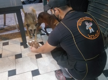 A vendéglős ingyen ételt adott egy kóbor kutyának, de ami hetekkel ezután történt, az valami elképesztő