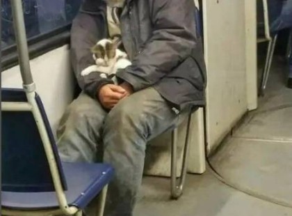 „Azt mondta, csak melegen tartotta – de valójában ennél sokkal többet tett...”
Láttam őt ülni a 4-es metró egyik kocsijában, két megállóval a végállomás előtt. A kabátja szorosan be volt húzva, kopott cipője alig érintette a padlót. Nem az álmatlanság, hanem az élet súlya nehezedett a vállára.
De nem ő keltette fel igazán a figyelmemet.
Hanem az, amit a kezében tartott.
A kabát redői között, a karja védelmében egy alig néhány hetes kiscica feküdt. Összegömbölyödve, mintha mindig is ott lett volna – egy biztonságos, meleg világban. Úgy ölelte, mintha porcelánból és emlékekből lenne. Mélyen aludt, apró tappancsai az álla alatt, olyan hangosan dorombolva, hogy a metrószerelvény zaja sem nyomta el teljesen.
A többiek? Teljes közöny. Egyik utas sem nézett oda.
Odamentem. Leültem vele szemben. Csendesen megkérdeztem:
– A tiéd?
Lenézett rá, halvány, meleg mosollyal:
– Nem, nem… Ő talált rám. Három nappal ezelőtt. Egy pékség mögötti sikátorban sírt. Elázva, reszketve. Odaadtam neki az utolsó szendvicsem, aztán becsavartam az egyetlen száraz sálamba.
Ekkor megvonta a vállát, mintha mentegetőzne:
– Azt hittem, csak egy meleg éjszakát adok neki… de nem ment el.
Megkérdeztem, most hova viszi.
– Egy jobb helyre – válaszolta. – A Határ út és Nyírfa utca sarkán, a padon van egy cetli. Egy anyuka írta. Azt írta, segítene, ha élve visszakerülne a cica.
Készíts egy emlékeztetőt?
Kissé értetlenül néztem rá. Ekkor előkotorta a kabátja zsebéből a gyűrött szalvétát. Kék tintával, görcsös kézírással ez állt rajta:
„Minka névre hallgat. Kérlek, ne hagyd magára. Ha megtalálod, vidd haza.”
A hátoldalon telefonszám. De ami igazán szíven ütött?
Az aláírás:
„A kislánya.” ?
Olvasd tovább a történetet az első hozzászólásban! ??