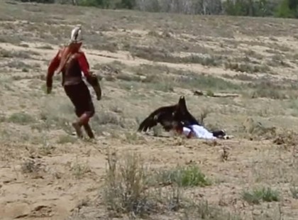 ?? Sokkoló felvétel mutatja, ahogy egy hatalmas aranysas megpróbál elrepülni egy 8 éves kislánnyal... ?? Videó a hozzászólásokban ?