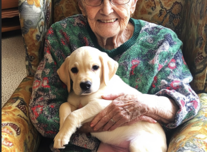 79 éves vagyok, és örökbe fogadtam egy kiskutyát – az egész családom kiakadt! De tudod mit? EZ VOLT ÉLETEM LEGJOBB DÖNTÉSE! ❤️?