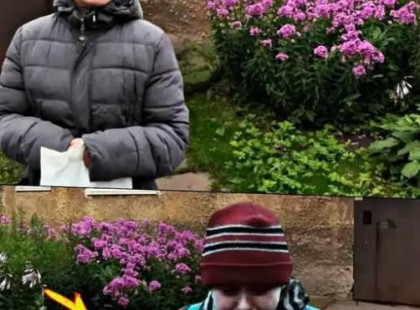 Néni, elvinné a kisöcsémet? Nagyon éhes…