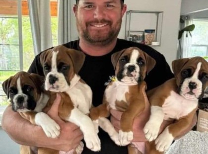 Az út szélén négy boxer kölyökkutyát találtam, és az egyikükön volt egy nyakörv, ami teljesen megváltoztatta a helyzetet.

A 47-es főúton hajtottam keresztül egy zaklatott, rohanós reggelen, amikor valami szokatlanra lettem figyelmes az út szélén. Négy apró boxer kölyök bújt össze az árokparton, csupa sár volt mind, és úgy reszkettek, mint őszi levelek a hideg szélben. Mellettük egy félig szétázott, összedőlt kartondoboz árválkodott.

Nem akartam megállni. Már így is késtem egy fontos ügyféltalálkozóról, és a reggelem sem volt valami rózsás. Mégis, ahogy rájuk néztem... nem tudtam továbbmenni.

Sehol egy ház, se anyakutya, se gazda – csak a négy csöppség a semmi közepén.

Félrehúzódtam, leállítottam az autót, előkaptam a kocsiban heverő régi pulcsit, és siettem feléjük.

Ekkor még nem sejtettem, hogy az egyikük nyakörvén egy apró cetli rejlik, amelyen mindössze két kézzel írt szó áll – és ez örökre megváltoztat mindent…

? Olvasd el a teljes történetet a hozzászólások között! ⬇️