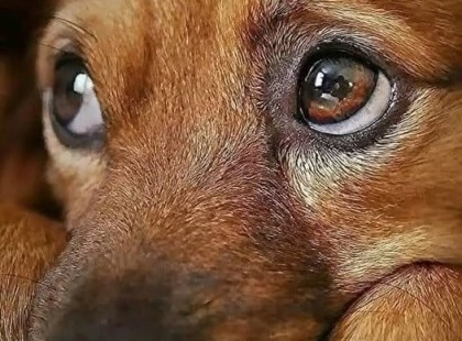 Ma egy szokatlanul mély és nyugtalanító beszélgetésben volt részem az egyik szomszéd ház lakójával.