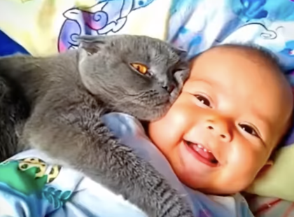 A macska nem hagyta egyedül a kisbabát. Amikor a szülők megtudták, miért, azonnal hívták a rendőrséget