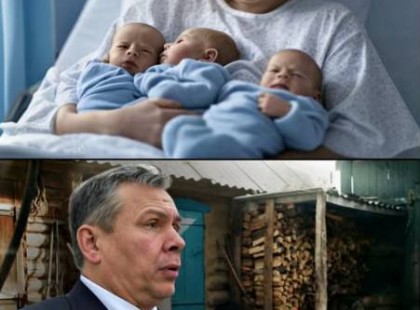 Nekem ne legyenek unokáim egy falusi libapásztortól!” – jelentette ki a gazdag üzletember, majd kitagadta a fiát, amikor megtudta, hogy a faluról származó menyasszonya HÁRMASIKREKKEL terhes!