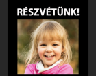 Megtalálták az eltűnt 2 éves kislányt, aki 10 napja tűnt el... még a sokat látott Rendőrök is sírtak mikor meglátták, hogy mi történt vele