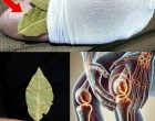 Tedd a babérlevelet a zoknidba, és figyeld, mi történik a testeddel! – Ezt a módszert még az orvosok is elismerik! 😲🍃