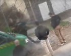 Halálra verhettek a rendőrök egy férfit Szegeden, felfoghatatlan a család szerint mit tettek vele, az eset egy részéről videó készült, amit lent a hozzászólásoknál saját felelősségre lehet megtekinteni.
