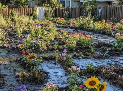 ? A szomszédom betont öntött a kertemre – nem számított arra, amit cserébe kapott