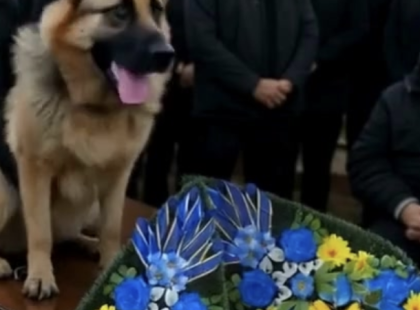 A kutya nem hagyta abba az ugatást a gazdája koporsója mellett… Amikor kinyitották, mindenki SIKÍTANI kezdett a félelemtől! ???