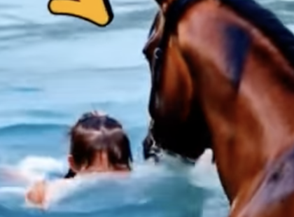 Egy tolókocsis kislányt belöktek a folyóba... De amit a ló ezután tett, attól még a legerősebb szívűek is megdöbbentek! ?
