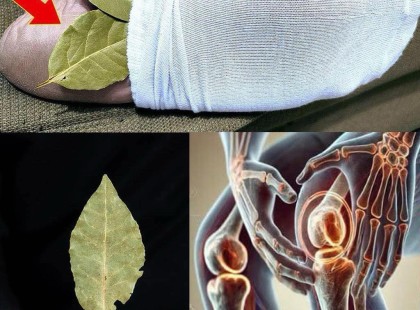 Tedd a babérlevelet a zoknidba, és figyeld, mi történik a testeddel! – Ezt a módszert még az orvosok is elismerik! ??