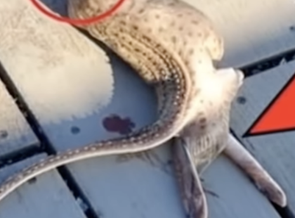 A HALÁSZ MAJDNEM MEGŐRÜLT, AMIKOR MEGLÁTTA, MIT FOGOTT KI! ??