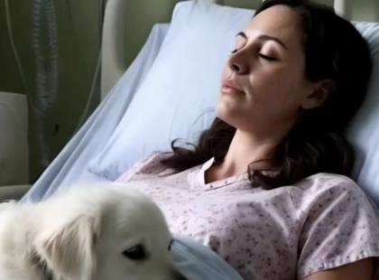 Engedjék be a kutyát!” – kiáltotta a férfi. Pár másodperccel később olyasmi történt, amit azóta is csak suttogva mernek mesélni...