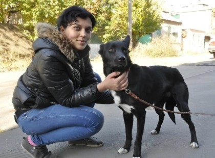 322 kilométer, tele szeretettel: Shavi, a kutya, aki gyalog indult hálát mondani