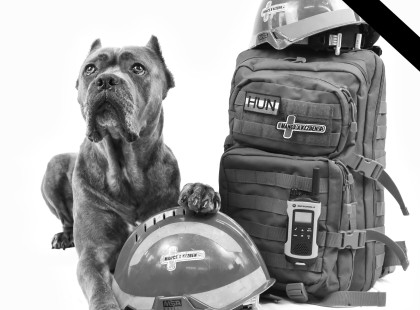 Meghalt Nova, a hős magyar mentőkutya – Ő mentett életeket a törökországi földrengés után