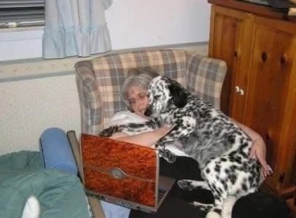 Visszavittem az állatmenhelyre. Elegem volt belőle.