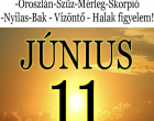 Kos - Bika - Ikrek-Rák-Oroszlán-Szűz-Mérleg-Skorpió-Nyilas-Bak - Vízöntő - Halak figyelem!Hatalmas változást hoz a Mai nap!Mai horoszkóp (SZERDA)