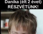 Megverhették a kétéves Danikát – azonnal meghalt – Nyugodj békében kis angyalka!