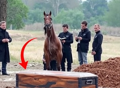A ló ráugrott a koporsóra a temetésen – és akkor... SÍRÁST hallottak belőle! ???