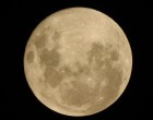 VASÁRNAPI Telihold🌝 – ilyen pozitív változásokat hoz az életedbe – Kosok, Bikák, Ikrek,Rák ,oroszlán,szűz ,Mérleg – skorpió-nyilas -bak-vízöntő-halak figyelem! A cikk a hozzászólásoknál olvasható