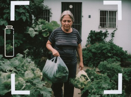 A szomszédom folyamatosan lopta a zöldségeimet és gyümölcseimet a kis hátsókertemből, amit én magam neveltem – néhány nappal később a férje jelent meg az ajtómban, hogy könyörögve fizethessen